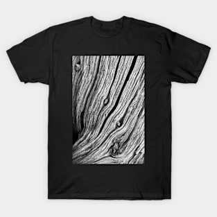 Ridges (bw) T-Shirt